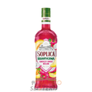Soplica Dragonfruit Melon 500ml